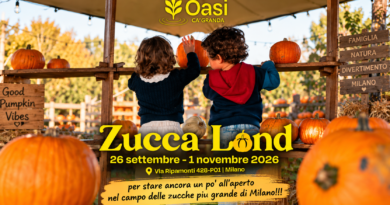 ZuccaLand 2026 a Milano: torna il grande campo di zucche, con labirinto, giochi e laboratori